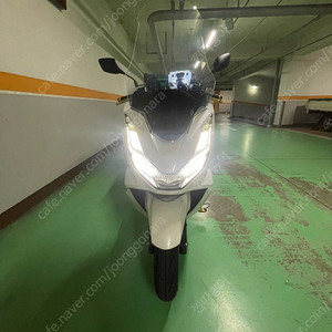 24년식 pcx125 화이트 판매합니다.
