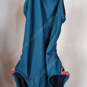 졸린 줄리안 피콕 26 멕시코산