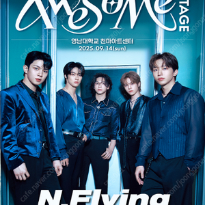 2025 어썸스테이지 in 대구 [ N.Flying ] 엔플라잉 콘서트 2연석 양도