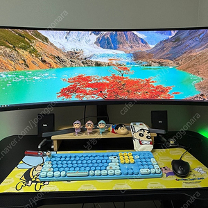 삼성 49인치 oled 와이드 커브드 모니터