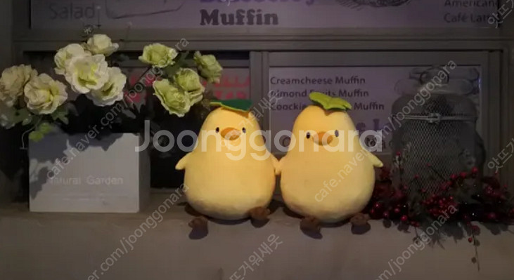 테일즈위버 젤리삐 인형 삽니다.--0