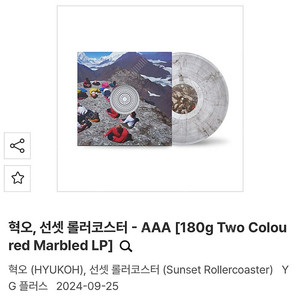 (미개봉 LP) 혁오 선셋 롤러코스터 AAA