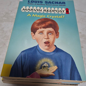 Marvin redpost, A to Z mysteries, horrid henry, Nancy drew, horrible harry, jigsaw jones 챕터북. 택포.