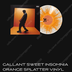 (미개봉 LP) GALLANT 갈란트 SWEET INSOMNIA 오렌지