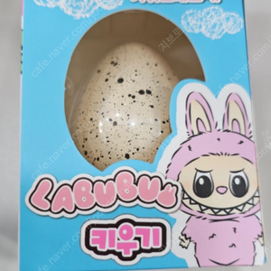 랜덤 라부부 키우기 에그