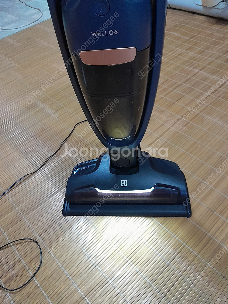 일렉트로룩스 무선청소기 Well Q6 부품 30000원--7