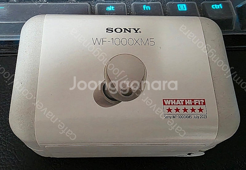 SONY WF-1000XM5 (정품) 미개봉 새제품 플...--0
