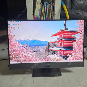 일체형 PC DELL Inspiron 7775 27인치