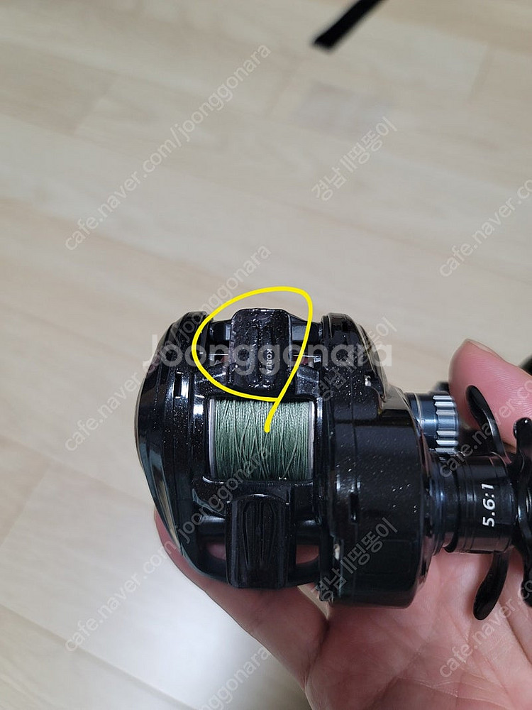 올터레인3 5점대--1