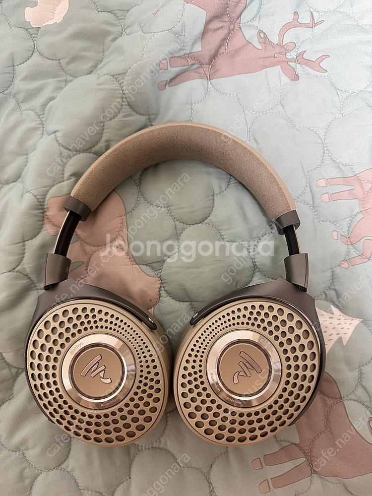 focal bathys 포칼 베티스 듄+ bt-w6--0