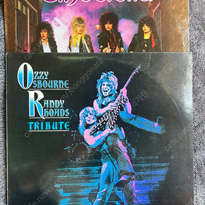 (가격내림) 80년대 메탈 하드록 오지 오스본 랜디 로즈 신데렐라 엘피 LP 바이닐 팝니다