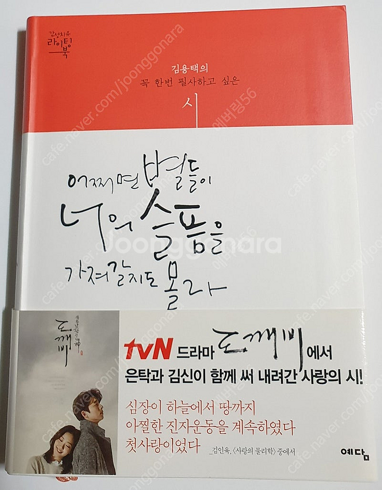 김용택시인 도깨비 시집+러브레터 소설책--0