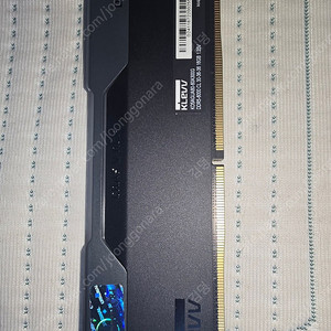 ESSENCORE KLEVV DDR5-6000 CL30 CRAS V RGB블랙 32G (16Gx2)