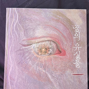 꿈의유실물
