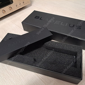 스웨덴 명품 DAC BLADELIUS