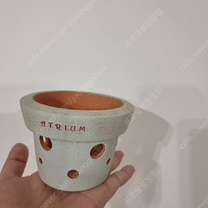 아뜨리움 치즈 토분