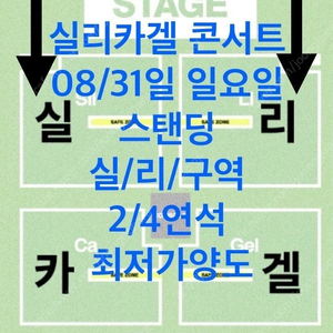 실리카겔 콘서트 31일 일요일 스탠딩 2/4연석 최저가양도