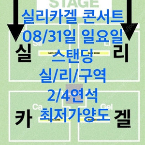 실리카겔 콘서트 31일 일요일 스탠딩 2/4연석 최저가양도