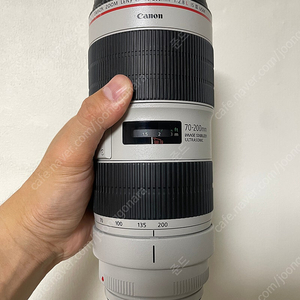 캐논 ef 2470 L ll(신계륵) 및 ef 70200 L lll(새새아빠) 판매합니다.