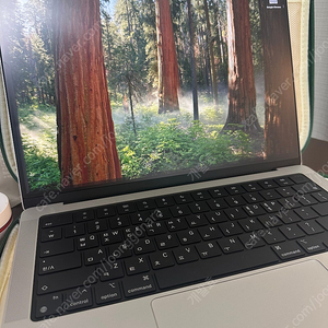 맥북 프로 14인치 M3 pro칩 (애케플 27년 8월까지) 팝니다