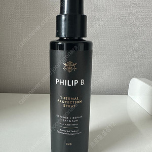 필립비 터멀 프로텍션 스프레이 125ml