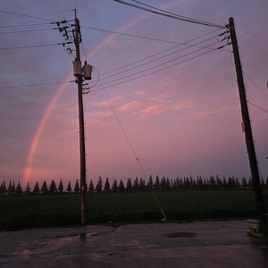 질소통 11리터 삽니다 (전주익산군산정읍) 이미지