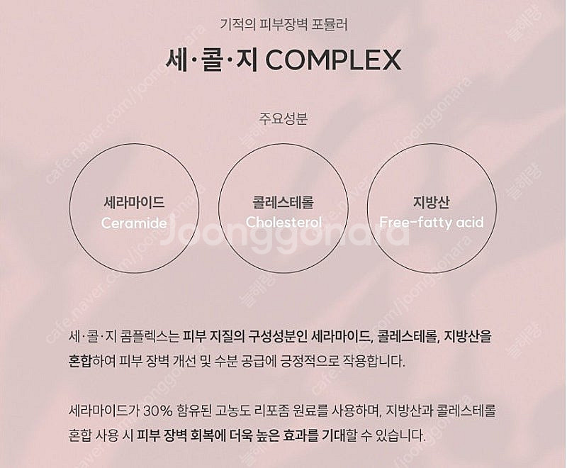 톡스앤필 스킨케어 기초 화장품 4종 세트 (비비지 리바...--9