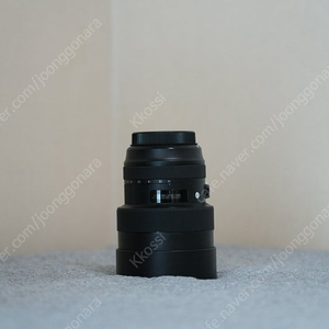 시그마 14-24 F 2.8 케논 마운트