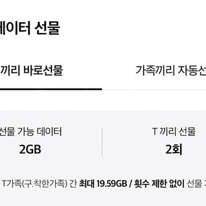 Sk데이터 2기가