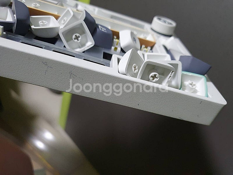 Hi75 우주비행사 베어본 판매--1