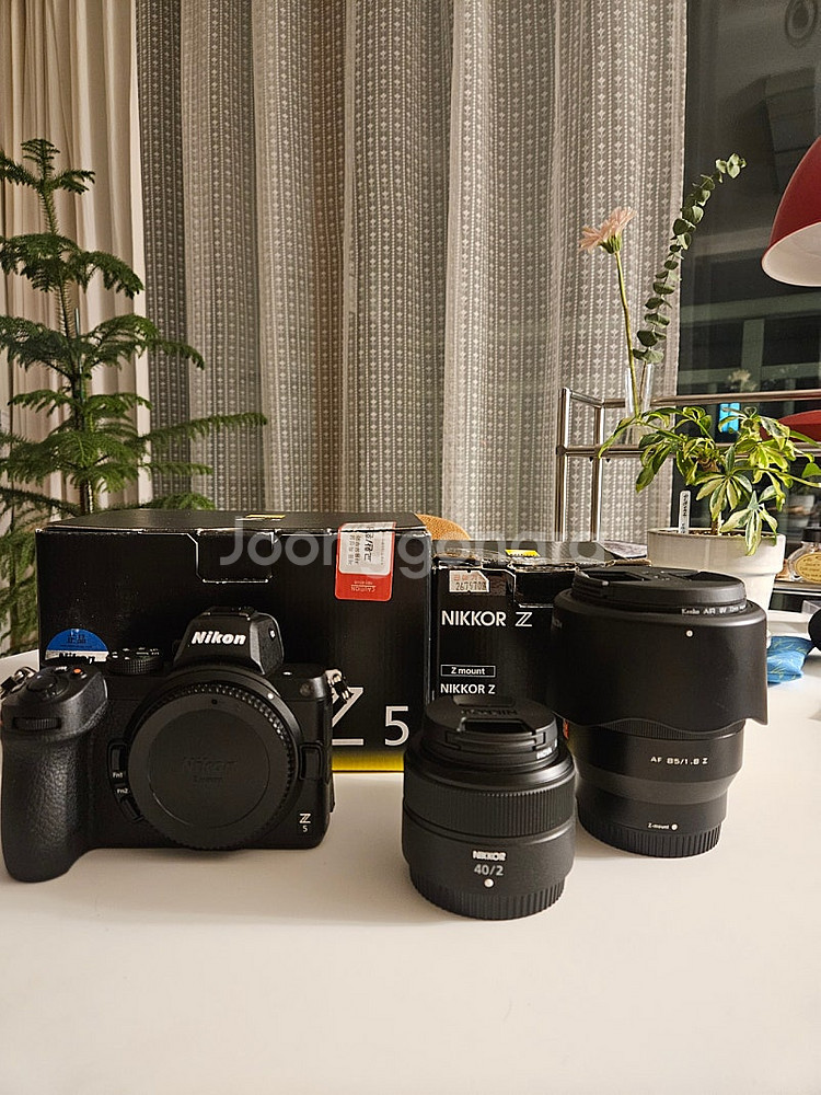니콘 z5 + 40mm f2 + 빌트록스 85.8 + ...--0