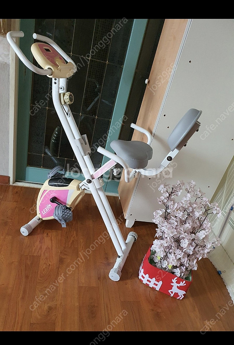 렉스파실내자전거집에서다리운동하실분께저렴히2만원그외예쁘고...--7