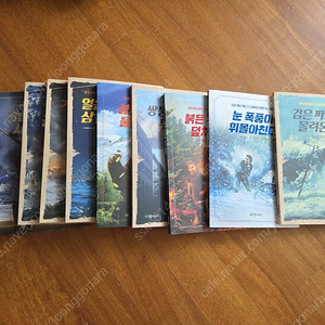 내가만난 재난 10권