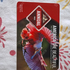 미국 국립공원 Annual Pass(연간이용권)