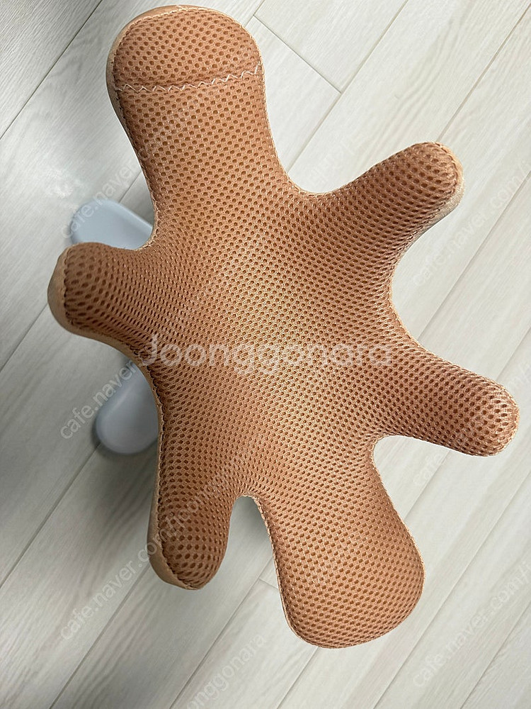 샘슨살롱 강아지 셀프 미용 거치대--1