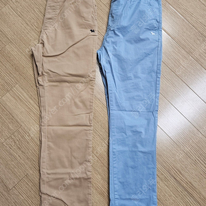 블루독 바지 155