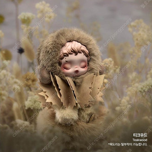 스컬판다 빛의정원 티크우드