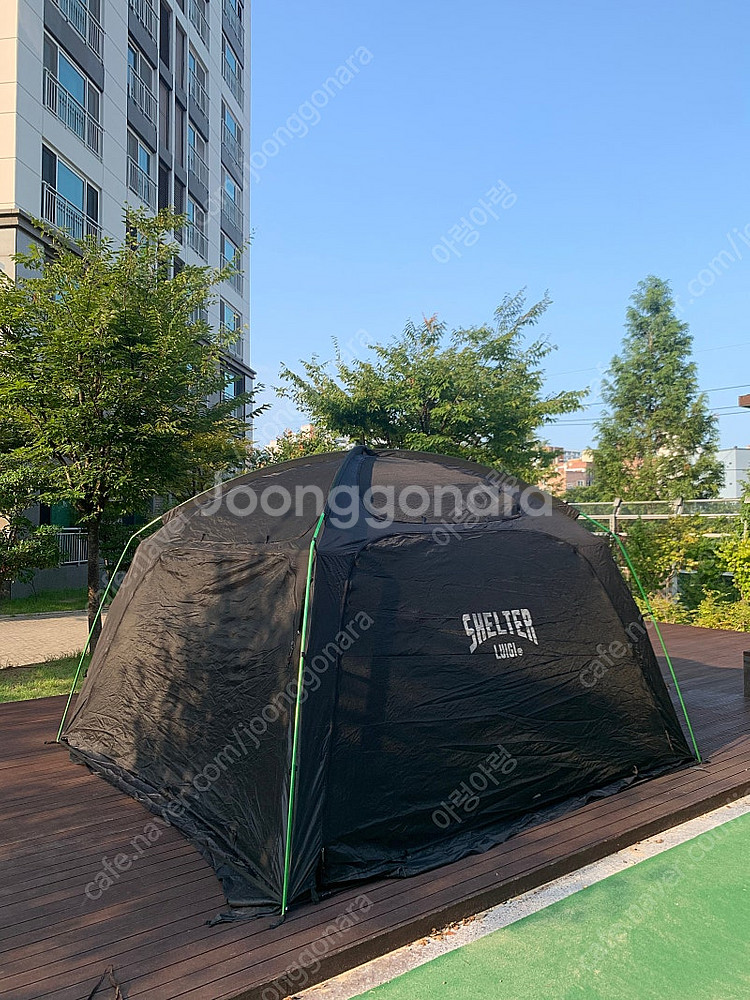 고투 루이지 쉘터 판매합니다.--5