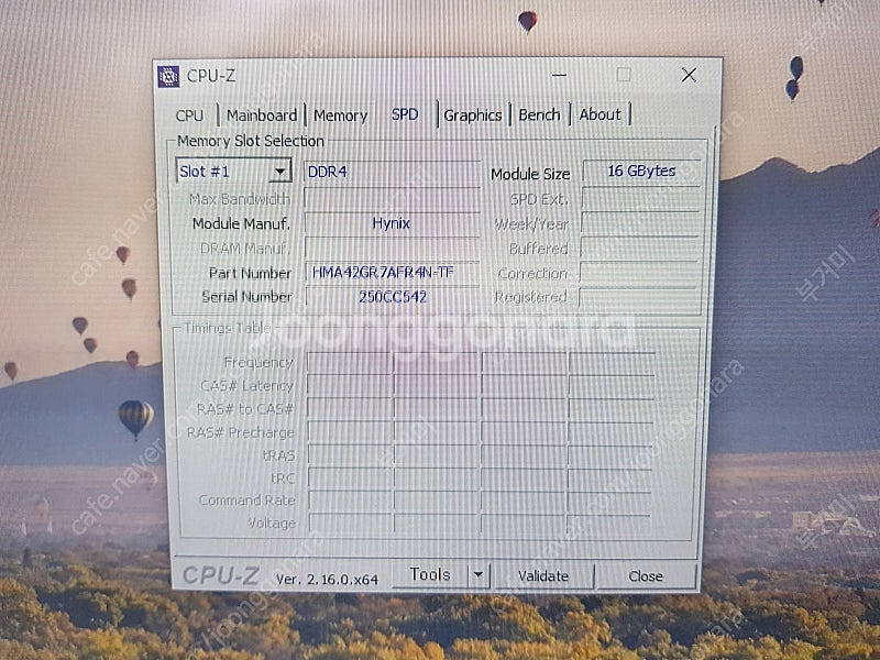 ws c612e sage + 6140 gold *2 +...--5