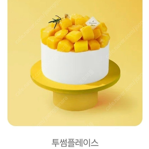 투썸플레이스 정가 38000 케이크 망고생 망고케이크