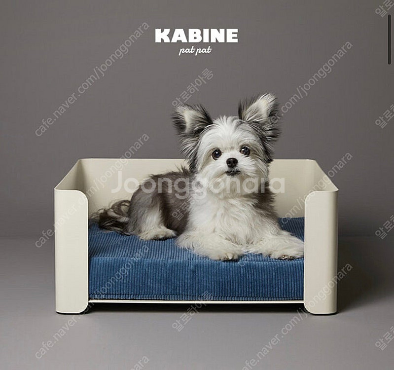 까비네 Kabine 강아지/고양이 침대--0