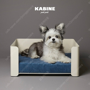 까비네 Kabine 강아지/고양이 침대