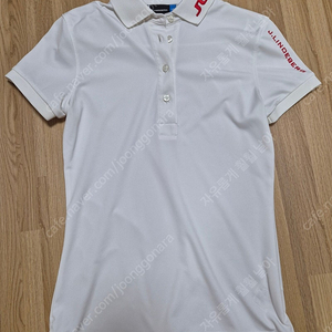 제이린드버그 골프티셔츠