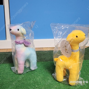 대명 소노펫 소냐르 키링