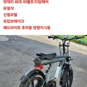 스테이크 sf21 불릿2 전기자전거 자토바이 팻바이크