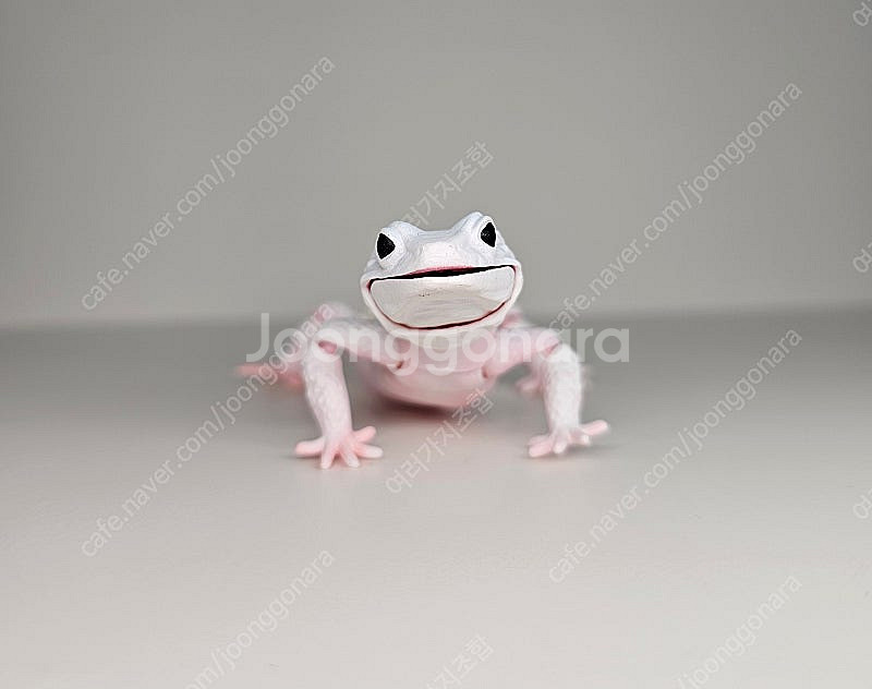 생물대도감 어드밴스 레오파드게코 피규어 일괄--7