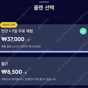 quizlet 퀴즐렛 1년 하실 분 구합니다