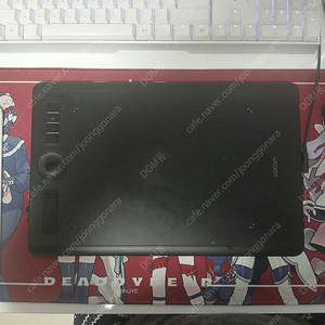 인튜어스 프로 PTH-660