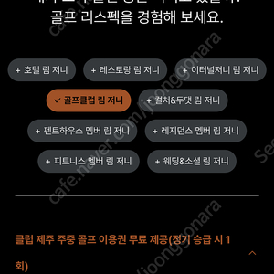 아난티 림 삽니다