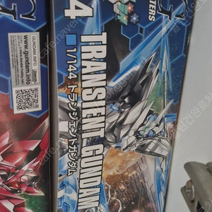 hg 트랜전트
